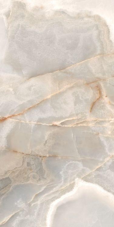 Reves Noisette Matte 24 x 48